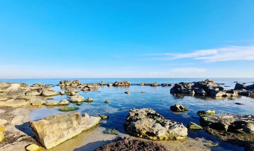 Four Seasons Apartment - Oasis Beach Resort Bliznatsi المظهر الخارجي الصورة